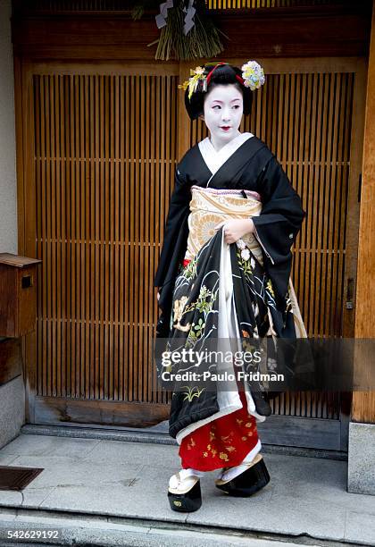 High Ranking Geisha 43 Geigi Stock Photos, High-Res Pictures, and Images - Getty Images