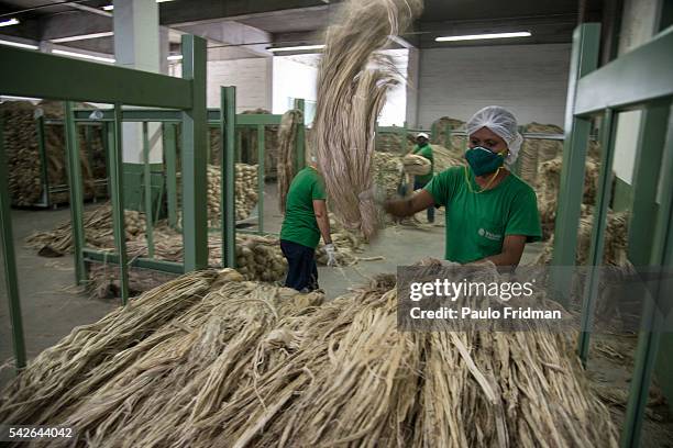 Jute Processing 232 Jute Processing Stock Photos, High-Res Pictures, and Images - Getty ...