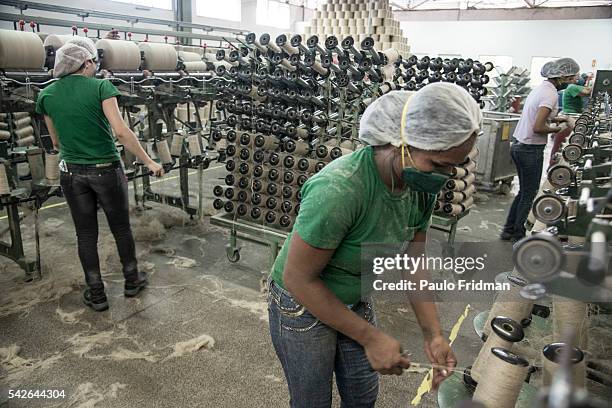 Jute Processing 253 Jute Processing Stock Photos, High-Res Pictures, and Images - Getty ...