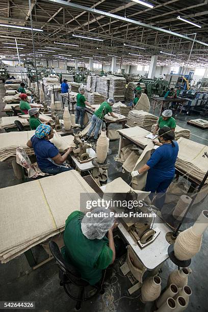 Jute Processing 253 Jute Processing Stock Photos, High-Res Pictures, and Images - Getty ...