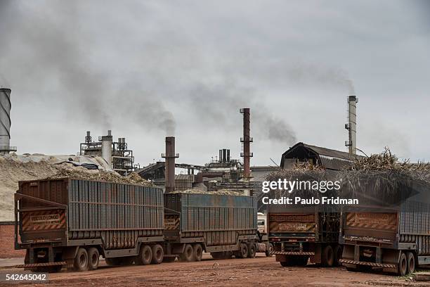 Trucks with Sugarcane plants enter the mill as vapor steams out of the furnaces At Unidade industrial Cruz Alta da Guarani SA ethanol sugar and...