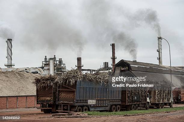Trucks with Sugarcane plants enter the mill as vapor steams out of the furnaces At Unidade industrial Cruz Alta da Guarani SA ethanol sugar and...