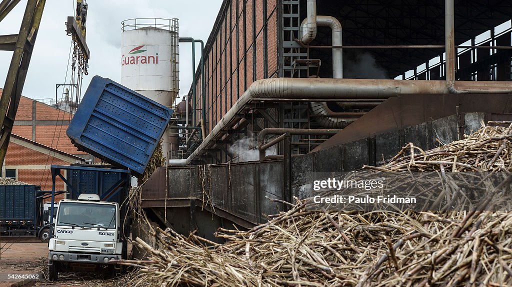 Brazil - Sugar Cane Ethanol