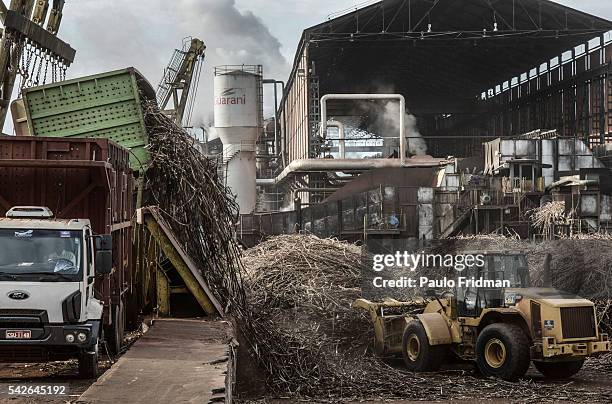 Sugarcane stalks are placed in a machine to wash before its crashed At Unidade industrial Cruz Alta da Guarani SA ethanol sugar and energy , about 40...