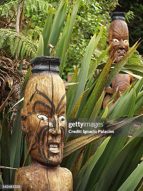 maori art in wai-o-tapu - waiotapu thermal park stock pictures, royalty-free photos & images