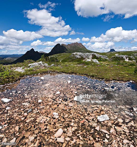 cradle mountain in the overland track - horizon over land stock pictures, royalty-free photos & images