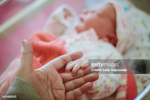newborn baby holding mothers hand - lettino ospedale foto e immagini stock