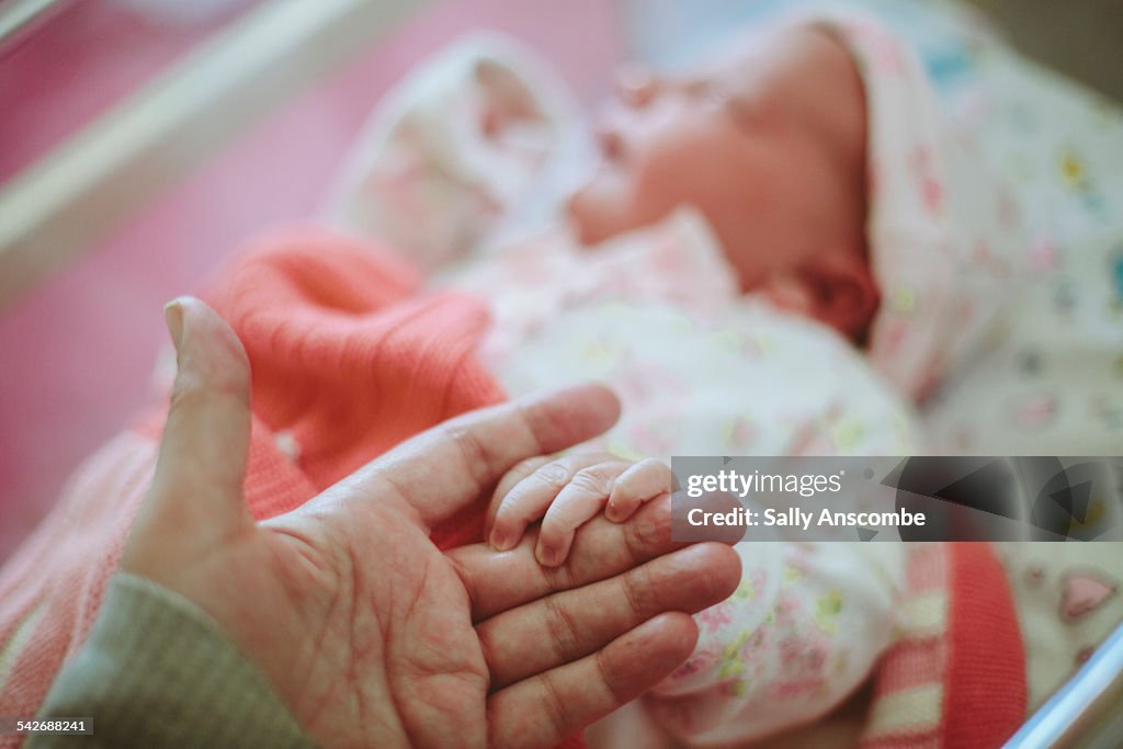 Newborn baby holding Mothers hand