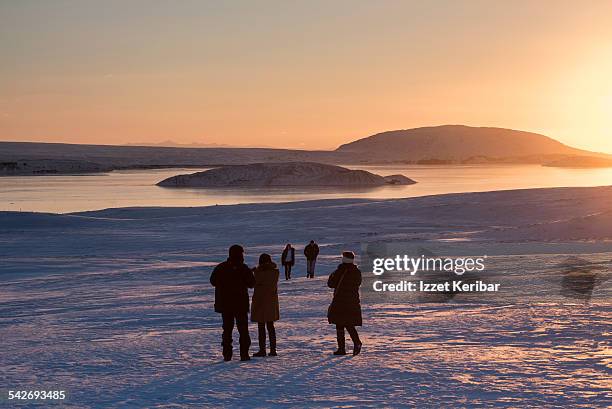 thingvellir national park, iceland - nationaal park pingvellir stockfoto's en -beelden