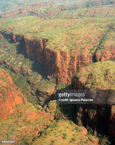 aerial picture of the bungle bungle purnululu - bungle bungle range stock pictures, royalty-free photos & images