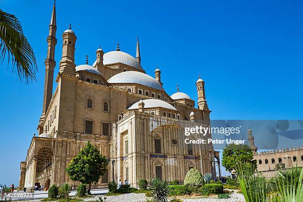 alabaster mosque in cairo city - cidadela do cairo imagens e fotografias de stock