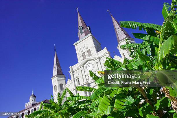 st. louis cathedral, jackson square, new orleans - st louis cathedral new orleans stock pictures, royalty-free photos & images