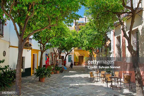 seville, plaza in santa cruz district - spain seville stock pictures, royalty-free photos & images