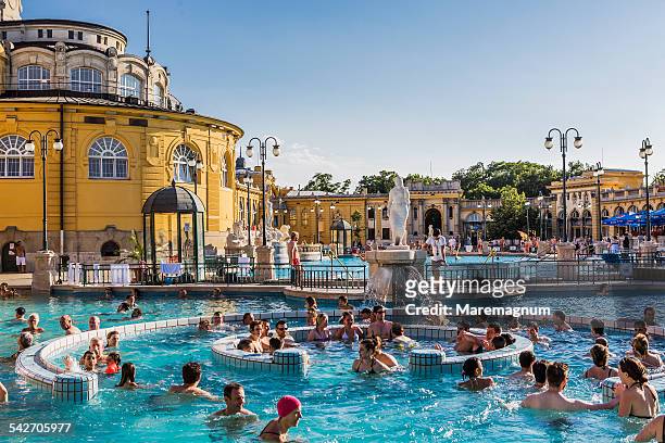 széchenyi thermal baths, outdoor swimming-pools - thermal pool stock pictures, royalty-free photos & images