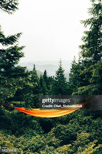 hammock in the forest - hammock camping stock pictures, royalty-free photos & images