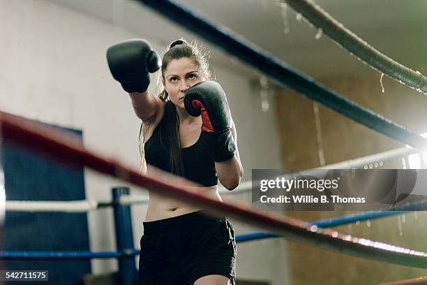 female boxer shadow boxing - show box foto e immagini stock