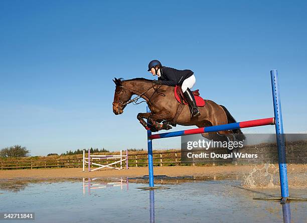 horse and jockey jumping fence. - equestrian show jumping stock pictures, royalty-free photos & images