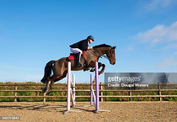 profile of horse and rider jumping fence. - horseback riding stock-fotos und bilder