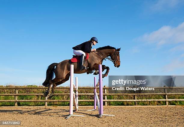 profile of horse and rider jumping fence. - andare a cavallo foto e immagini stock