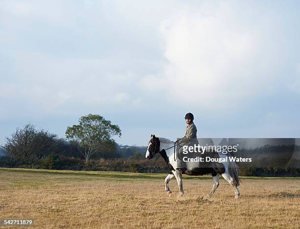 profile of male jockey riding horse. - horse and male and riding stock-fotos und bilder