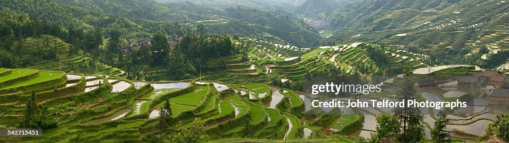 Green rice terraces on mountain slope.