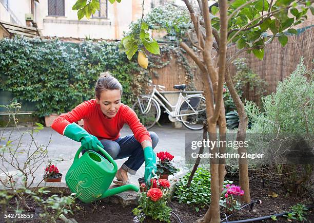 woman planting flowers in garden - green fingers - fotografias e filmes do acervo