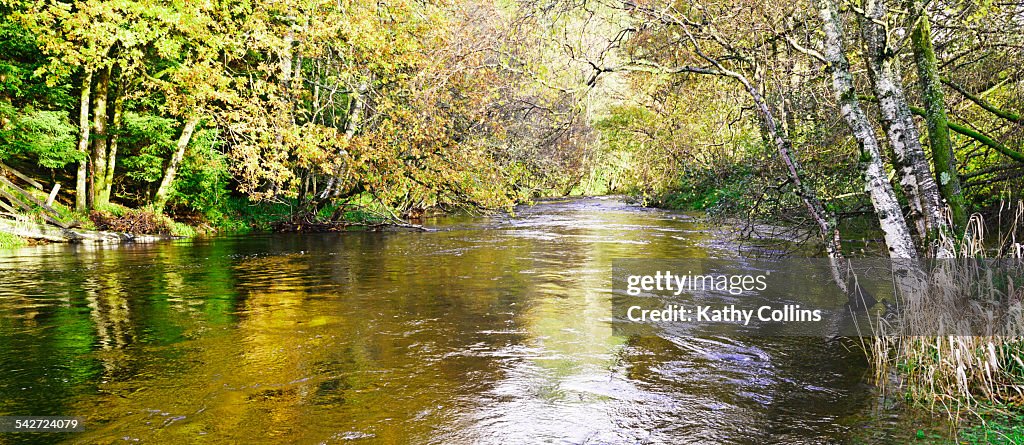 Sunlit summer river