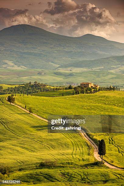 winding road in tuscany - spring valley road stock pictures, royalty-free photos & images