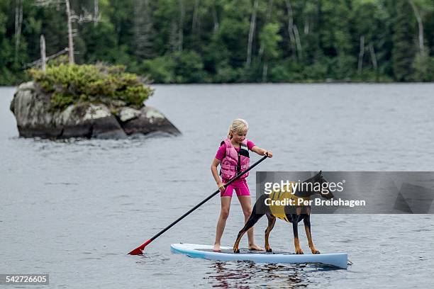 a young girl and her dog paddle boarding - life jacket stock pictures, royalty-free photos & images