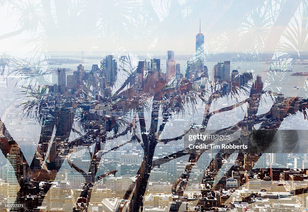 Manhattan with tree.