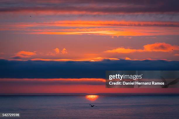 sunset in the sea. a guarda. galicia - guarda sol stock pictures, royalty-free photos & images