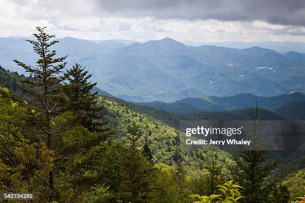 Blue Ridge 460 Spring Blue Ridge Mountains In Spring Photos and Premium High Res Pictures ...