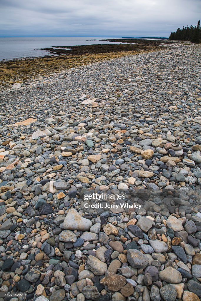 Natural seawall