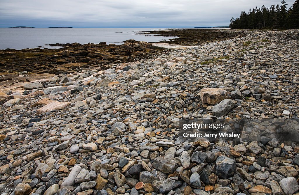 Natural seawall