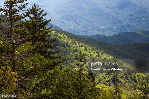 Blue Ridge 460 Spring Blue Ridge Mountains In Spring Photos and Premium High Res Pictures ...