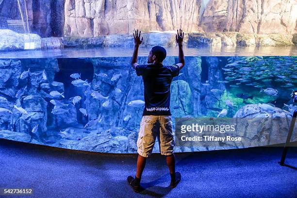 Rodney Peete Jr. Attends the HollyRod Foundation's "My Brother Charlie goes to the Aquarium" Presented by Toys'R'Us at the Aquarium of the Pacific on...