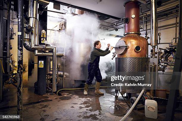 distillery - destilação imagens e fotografias de stock