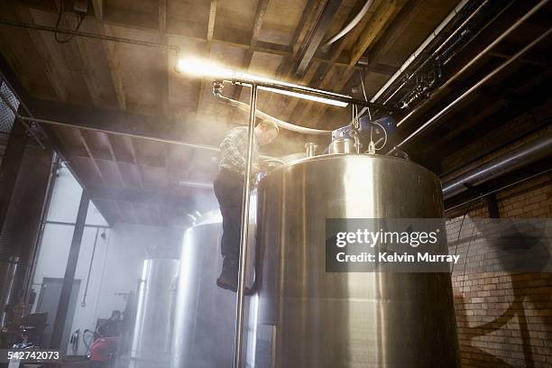 distillery - fermenting tank stock pictures, royalty-free photos & images