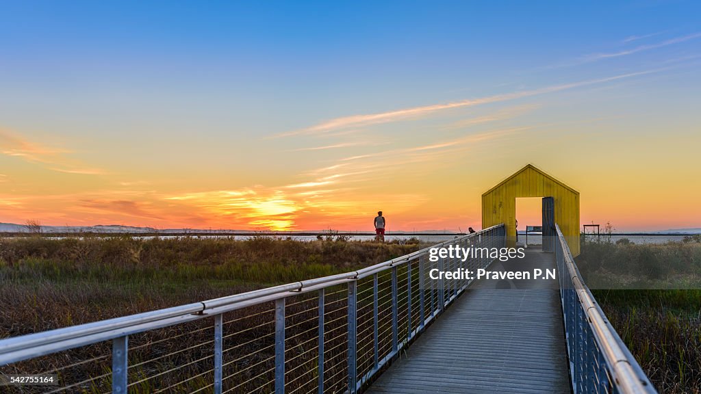 Alviso marina county park