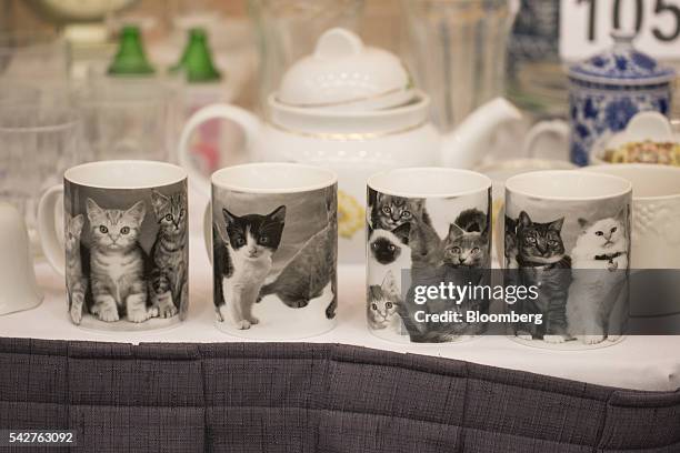 Cat mugs belonging to Catherine Greig, longtime girlfriend of notorious Boston mobster James "Whitey" Bulger, are displayed during a press preview...