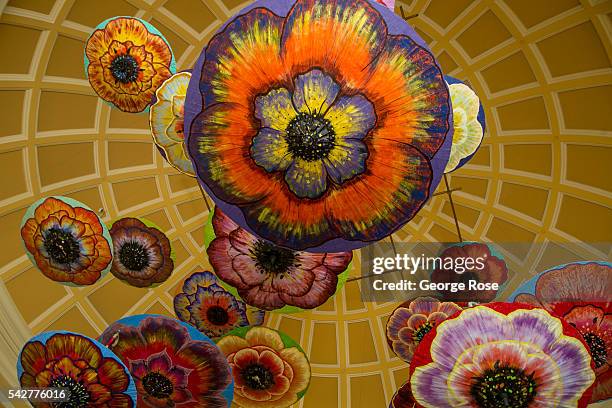 Large colorful umbrellas hang from the ceiling near the lobby of the Bellagio Hotel & Casino on June 9, 2016 in Las Vegas, Nevada. Tourism in...