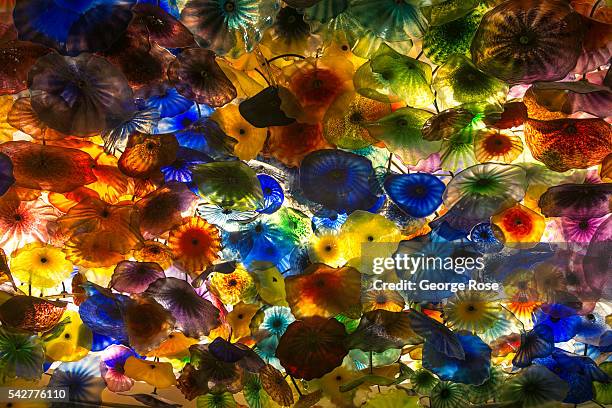 Colorful display of glass by artist Dale Chihuly hangs from the ceiling in the lobby of the Bellagio Hotel & Casino on June 9, 2016 in Las Vegas,...