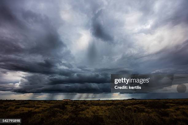 prima della tempesta - pioggia torrenziale foto e immagini stock
