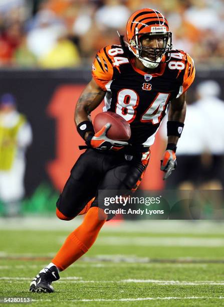 Wide receiver T.J. Houshmandzadeh of the Cincinnati Bengals runs with the ball against the Indianapolis Colts during a preseason game at Paul Brown...