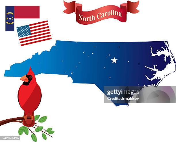 north carolina and cardinal birds - county durham stock illustrations