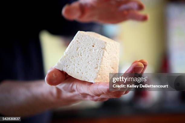 homemade feta cheese - chevre animal stock pictures, royalty-free photos & images