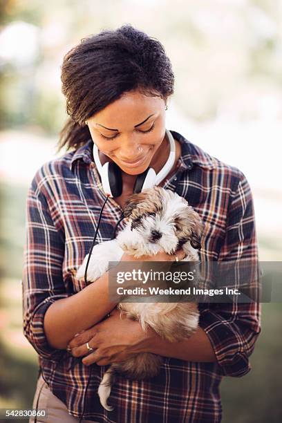cute puppy - trip hazard stock pictures, royalty-free photos & images