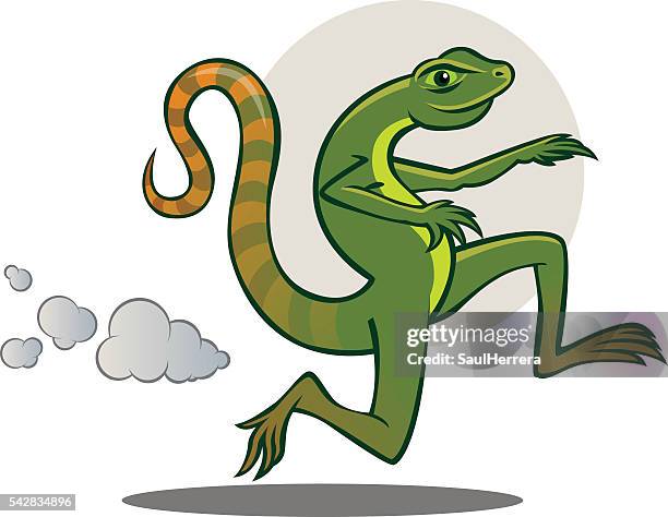 leechsen - eigentlicher leguan stock-grafiken, -clipart, -cartoons und -symbole