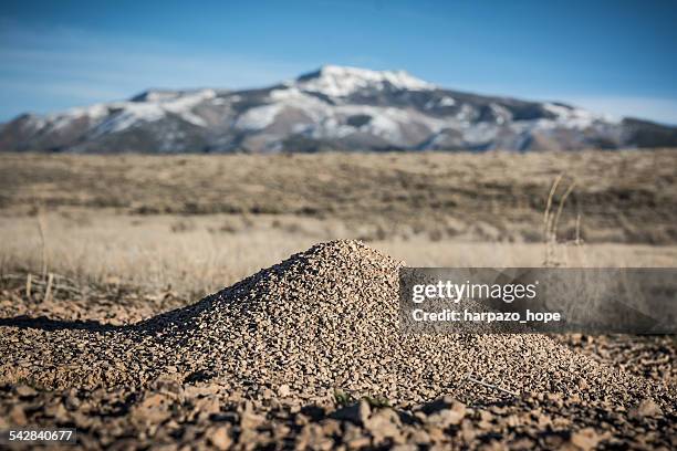 mountain and a molehill - molehill stock pictures, royalty-free photos & images