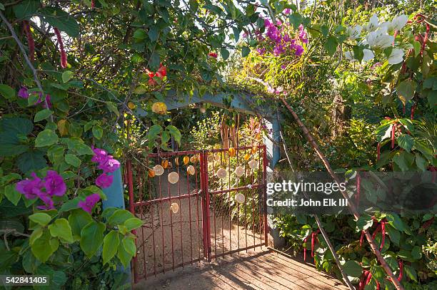 el jardin de caridad - vinales stock pictures, royalty-free photos & images